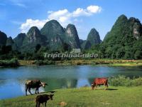 Guilin Tourism Golden Season is Coming, the Old and New Attractions Show Each Charm