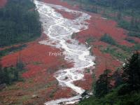 Hailuogou National Glacier Forest Park