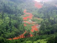 Hailuogou National Glacier Forest Park