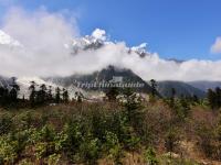 Hailuogou National Glacier Forest Park