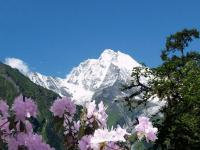 Hailuogou National Glacier Forest Park