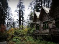 The Wooden Huts in Hailuogou National Glacier Forest Park