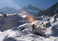 Alpine Glacier in Hailuogou Valley