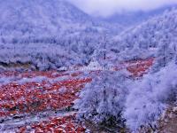 Hailuogou National Glacier Forest Park