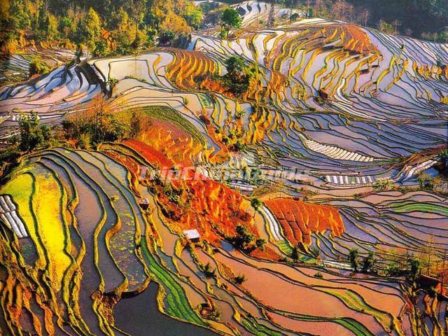 Hani Rice Terraces