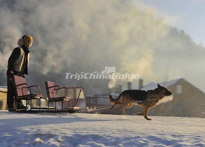 China's Snow Town Dog Sledding