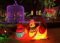 37th Harbin Ice Lantern Fair