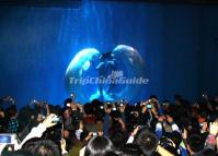 The White Whales Performance in Harbin Polarland