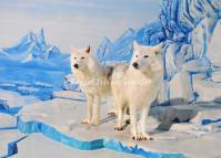 Arctic Wolves Harbin Polarland