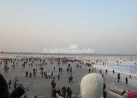 Harbin Winter Scenery