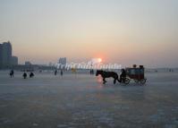 Harbin Carriage