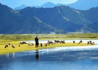 Landscape of Xinjiang Heavenly Lake