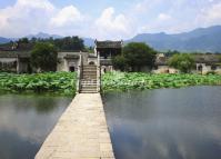 Hongcun Village Lotus Huangshan 