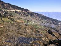 Honghe Hani Rice Terraces