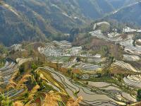 Honghe Hani Rice Terraces