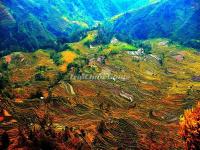 Honghe Hani Rice Terraces