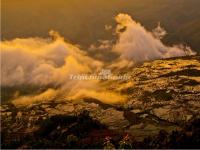 Honghe Hani Rice Terraces