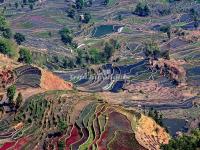 Honghe Hani Rice Terraces