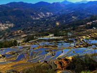 Honghe Hani Rice Terraces