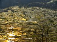 Yunnan Honghe Hani Rice Terraces