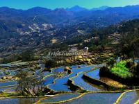 Honghe Hani Rice Terraces