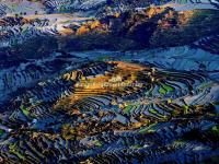 Honghe Hani Rice Terraces