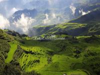 Honghe Hani Rice Terraces in Summer