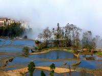 Honghe Hani Rice Terraced Fields 