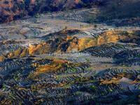 Honghe Hani Rice Terraces