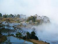 Honghe Hani Rice Terraces in Fog