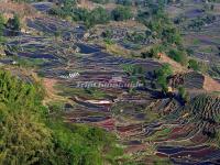 Honghe Hani Rice Terraces