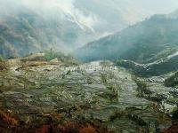 Flooded Rice Terraces in Honghe Prefecture 