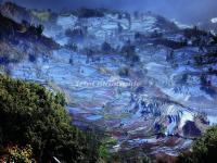 Honghe Hani Rice Terraces