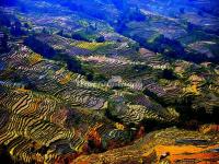 Honghe Hani Rice Terraces