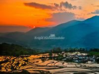 Honghe Hani Rice Terraces Sunset