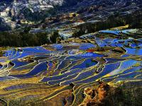 The Blue Honghe Hani Rice Terraces