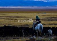  Red Prairie Sichuan