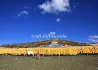 Hongyuan Grassland Sichuan China