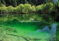 Huanglong Scenic Area Beautiful Lake Sichuan 