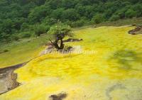 Beautiful Pond in Huanglong Scenic Area Aba