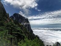 The Sea of Clouds in Yellow Mountain