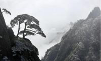 Huangshan Mountain Rime