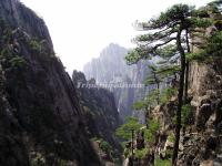 Huangshan Mountain