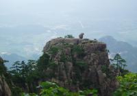 The Rock Monkey Watching the Sea in Mount Huangshan