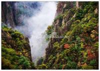 Huangshan Mountain Scenery China