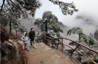 Rime in Huangshan Mountain