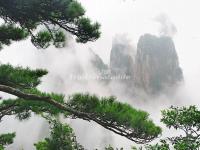 Huangshan Mountain