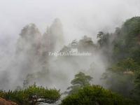 The Yellow Mountain in Fog