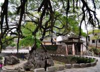 Huangyao Ancient Town Landscape 