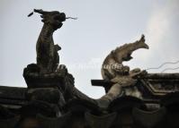The Dragon Eave of Humble Adiministrator's Garden